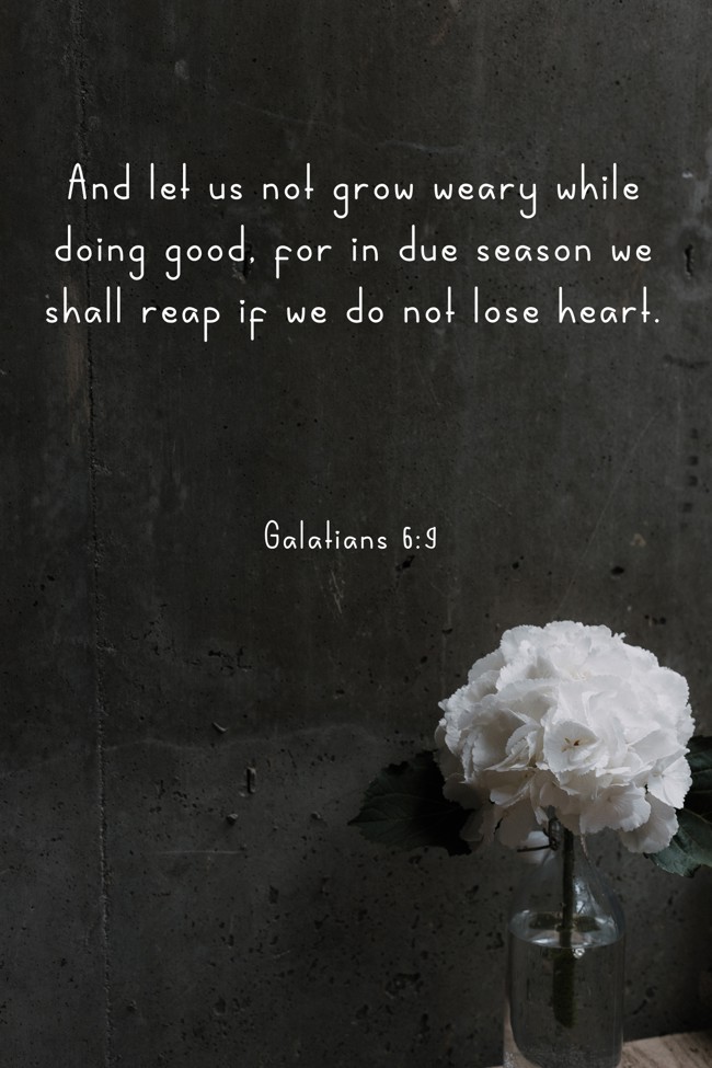 And let us not grow weary while doing good, for in due season we shall reap if we do not lose heart. - Galatians 6:9