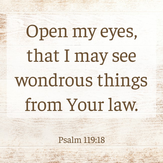 Open my eyes, that I may see wondrous things from Your law. - Psalm 119:18