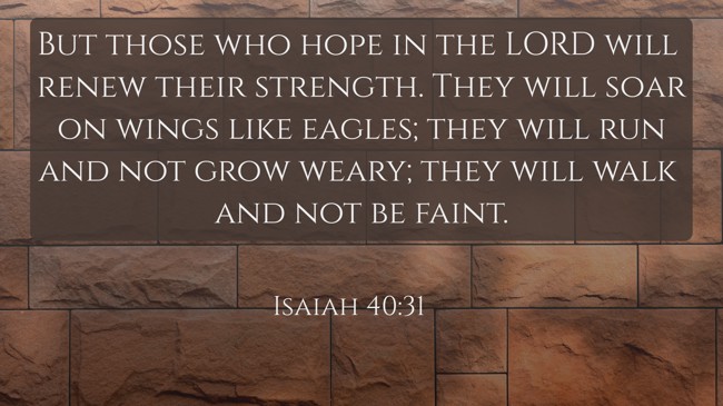 But those who hope in the LORD will renew their strength. They will soar on wings like eagles; they will run and not grow weary; they will walk and not be faint. - Isaiah 40:31