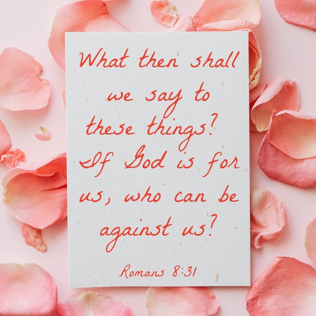 What then shall we say to these things? If God is for us, who can be against us? - Romans 8:31