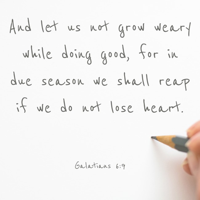 And let us not grow weary while doing good, for in due season we shall reap if we do not lose heart. - Galatians 6:9