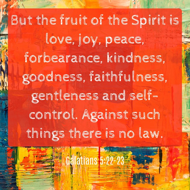 But the fruit of the Spirit is love, joy, peace, forbearance, kindness, goodness, faithfulness, gentleness and self-control. Against such things there is no law. - Galatians 5:22-23