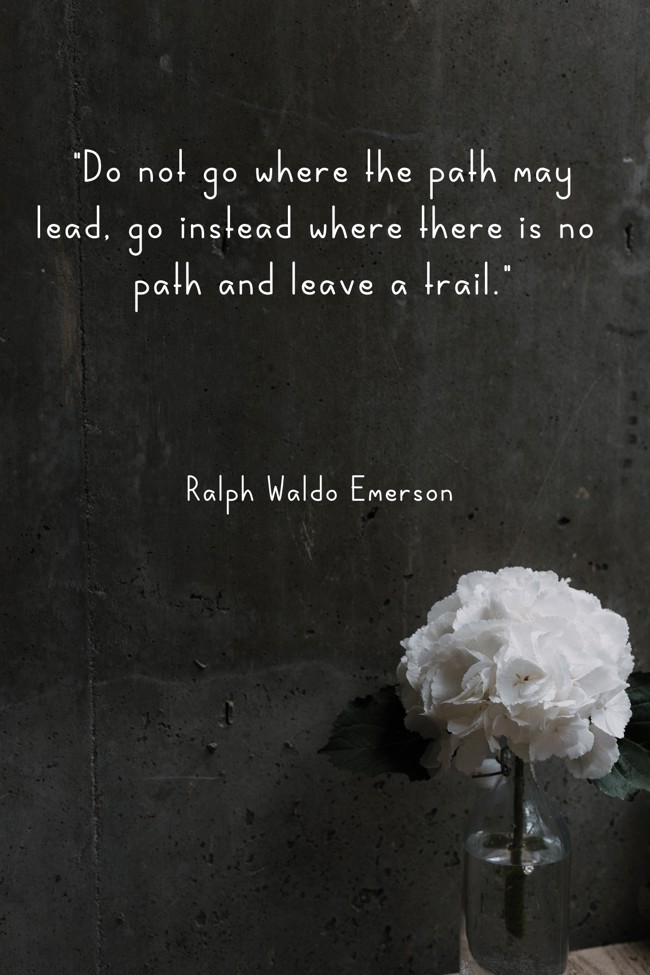 Do not go where the path may lead, go instead where there is no path and leave a trail. - Ralph Waldo Emerson
