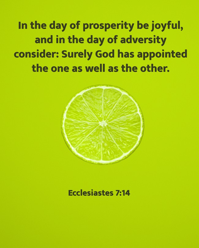 In the day of prosperity be joyful, and in the day of adversity consider: Surely God has appointed the one as well as the other. - Ecclesiastes 7:14