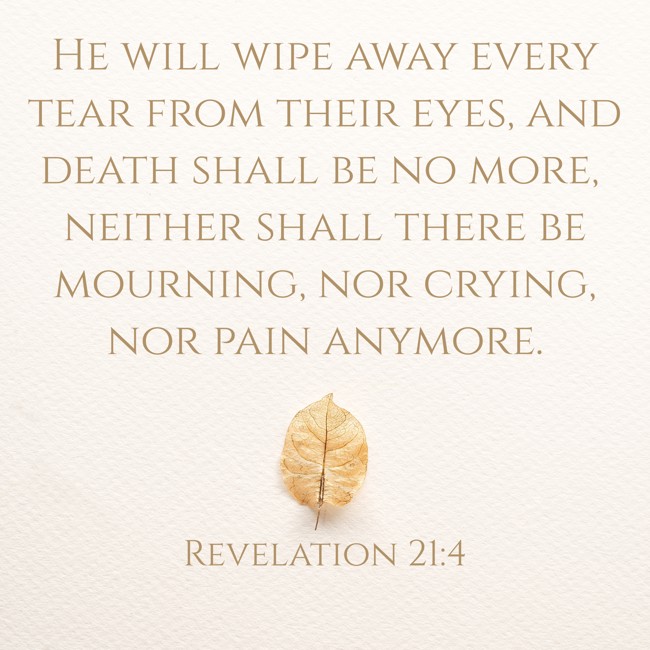 He will wipe away every tear from their eyes, and death shall be no more, neither shall there be mourning, nor crying, nor pain anymore. - Revelation 21:4