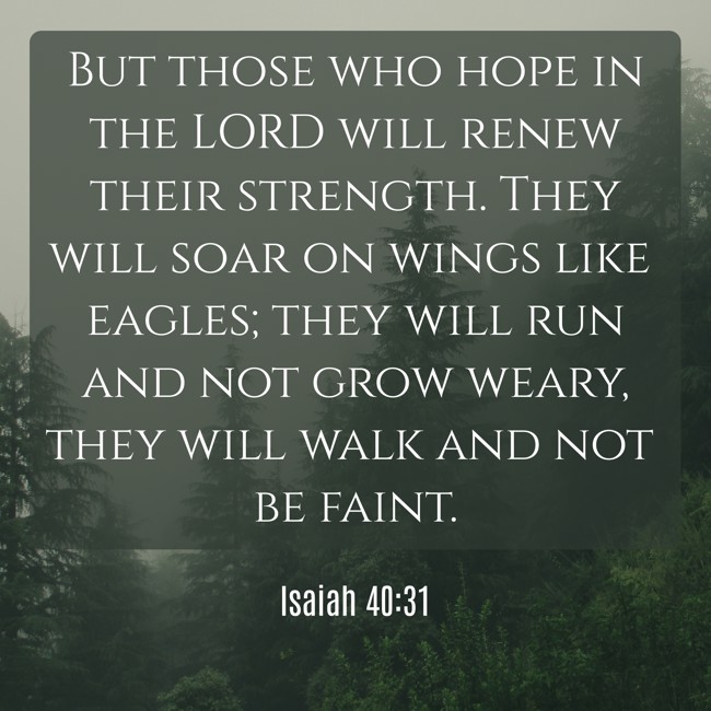 But those who hope in the LORD will renew their strength. They will soar on wings like eagles; they will run and not grow weary, they will walk and not be faint. - Isaiah 40:31