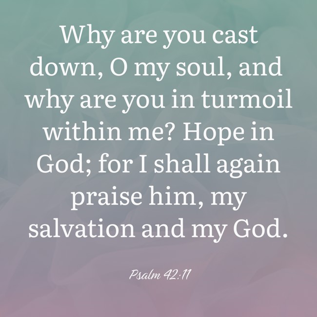 Why are you cast down, O my soul, and why are you in turmoil within me? Hope in God; for I shall again praise him, my salvation and my God. - Psalm 42:11