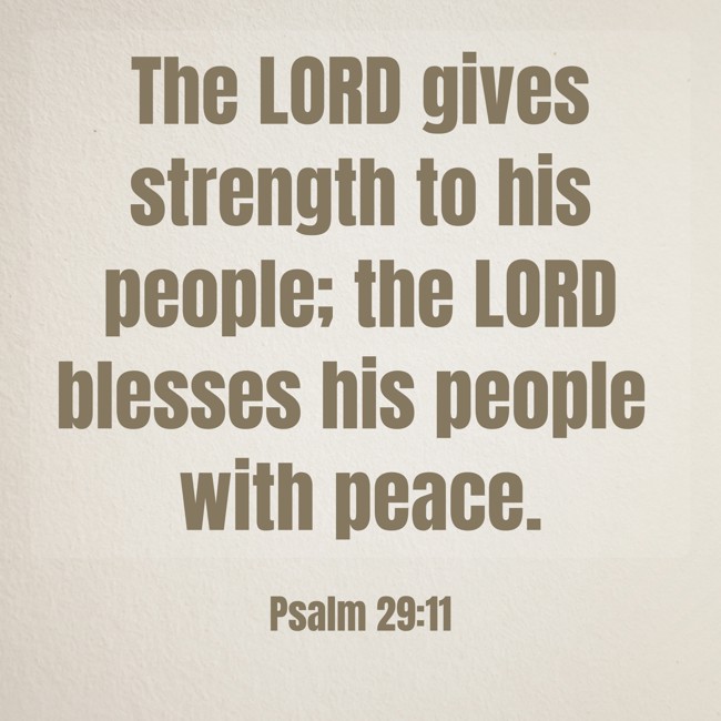 The LORD gives strength to his people; the LORD blesses his people with peace. - Psalm 29:11