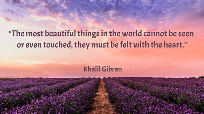 The most beautiful things in the world cannot be seen or even touched, they must be felt with the heart. - Khalil Gibran