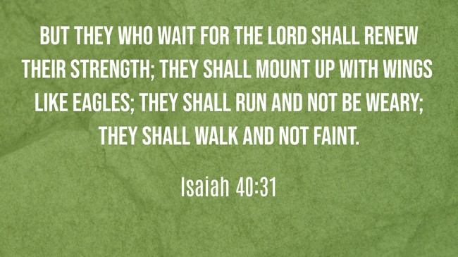 But they who wait for the LORD shall renew their strength; they shall mount up with wings like eagles; they shall run and not be weary; they shall walk and not faint. - Isaiah 40:31