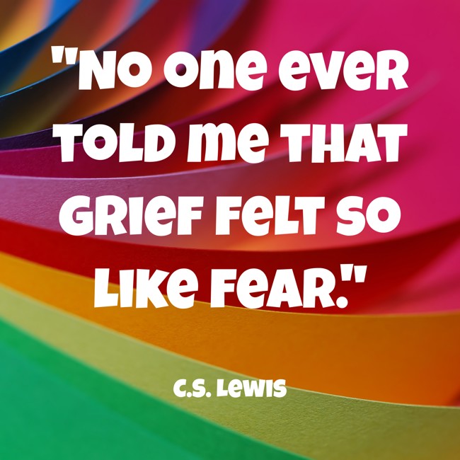 No one ever told me that grief felt so like fear. - C.S. Lewis