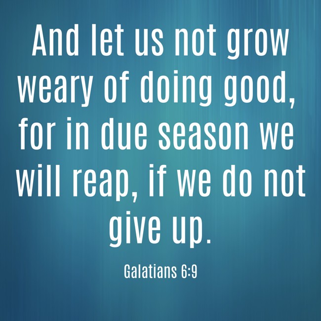 And let us not grow weary of doing good, for in due season we will reap, if we do not give up. - Galatians 6:9