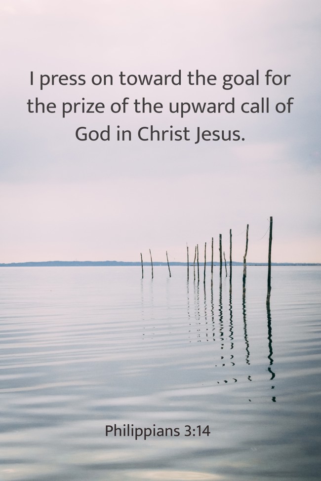 I press on toward the goal for the prize of the upward call of God in Christ Jesus. - Philippians 3:14