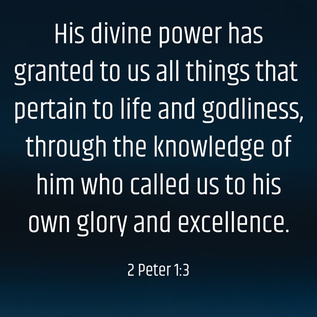 His divine power has granted to us all things that pertain to life and godliness, through the knowledge of him who called us to his own glory and excellence. - 2 Peter 1:3