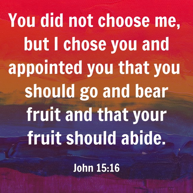 You did not choose me, but I chose you and appointed you that you should go and bear fruit and that your fruit should abide. - John 15:16