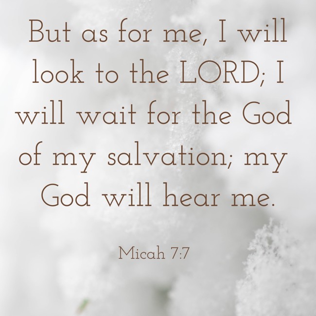 But as for me, I will look to the LORD; I will wait for the God of my salvation; my God will hear me. - Micah 7:7