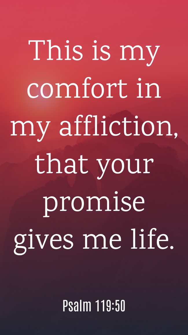 This is my comfort in my affliction, that your promise gives me life. - Psalm 119:50