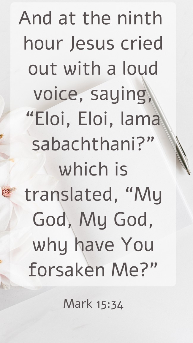 And at the ninth hour Jesus cried out with a loud voice, saying, “Eloi, Eloi, lama sabachthani?” which is translated, “My God, My God, why have You forsaken Me?” - Mark 15:34