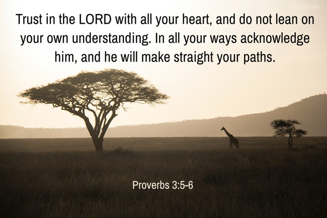 Trust in the LORD with all your heart, and do not lean on your own understanding. In all your ways acknowledge him, and he will make straight your paths. - Proverbs 3:5-6