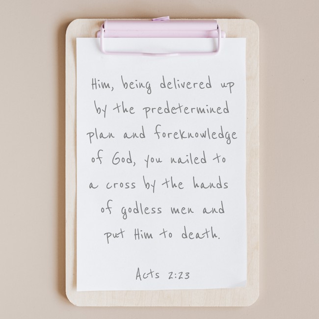Him, being delivered up by the predetermined plan and foreknowledge of God, you nailed to a cross by the hands of godless men and put Him to death. - Acts 2:23