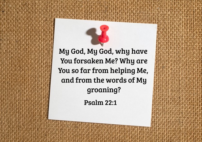 My God, My God, why have You forsaken Me? Why are You so far from helping Me, and from the words of My groaning? - Psalm 22:1