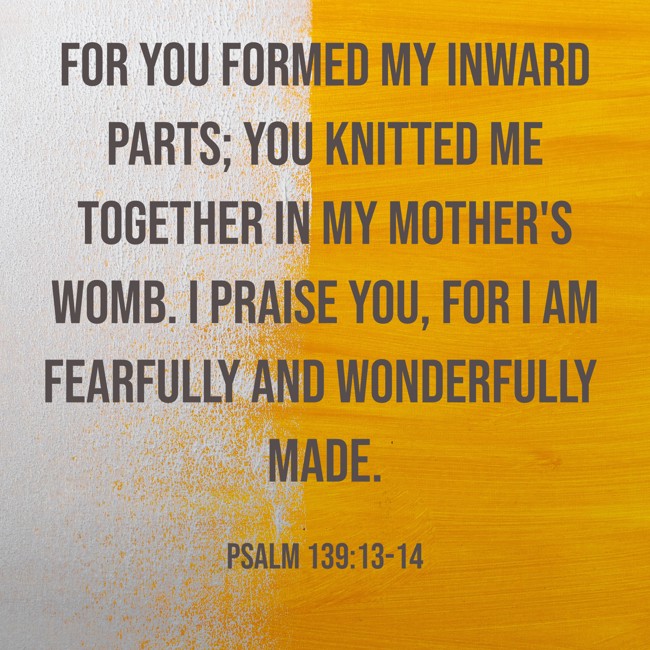 For you formed my inward parts; you knitted me together in my mother's womb. I praise you, for I am fearfully and wonderfully made. - Psalm 139:13-14