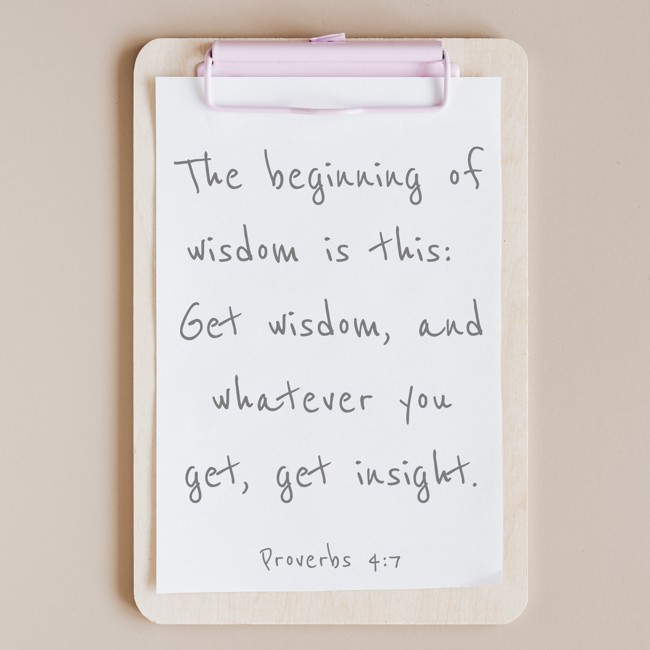 The beginning of wisdom is this: Get wisdom, and whatever you get, get insight. - Proverbs 4:7
