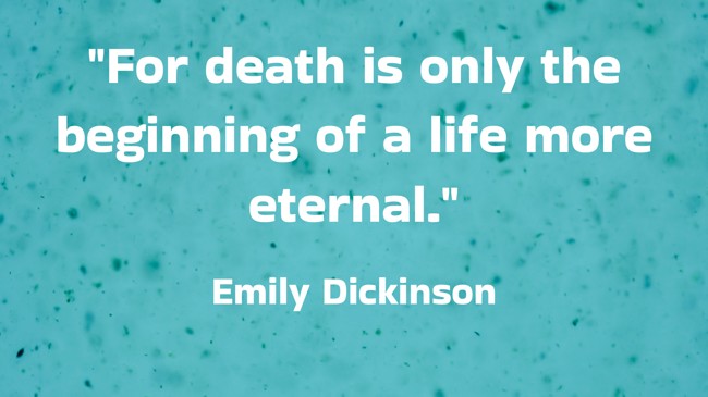 For death is only the beginning of a life more eternal. - Emily Dickinson