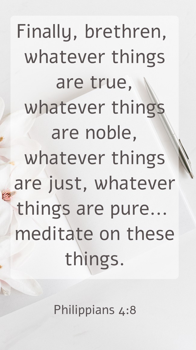  Finally, brethren, whatever things are true, whatever things are noble, whatever things are just, whatever things are pure... meditate on these things.   - Philippians 4:8 