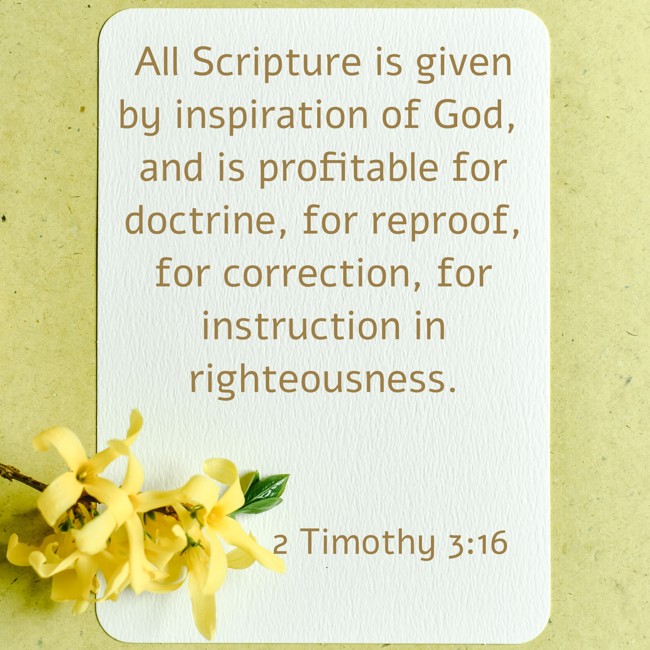  All Scripture is given by inspiration of God, and is profitable for doctrine, for reproof, for correction, for instruction in righteousness.   - 2 Timothy 3:16 