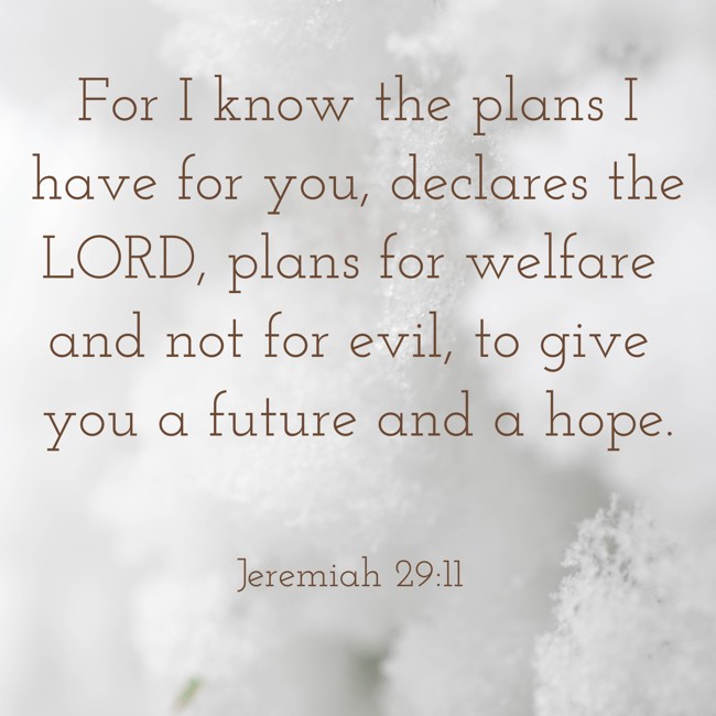 For I know the plans I have for you, declares the LORD, plans for welfare and not for evil, to give you a future and a hope. - Jeremiah 29:11