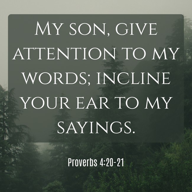  My son, give attention to my words; incline your ear to my sayings.   - Proverbs 4:20-21 