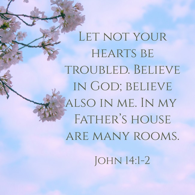 Let not your hearts be troubled. Believe in God; believe also in me. In my Father’s house are many rooms. - John 14:1-2
