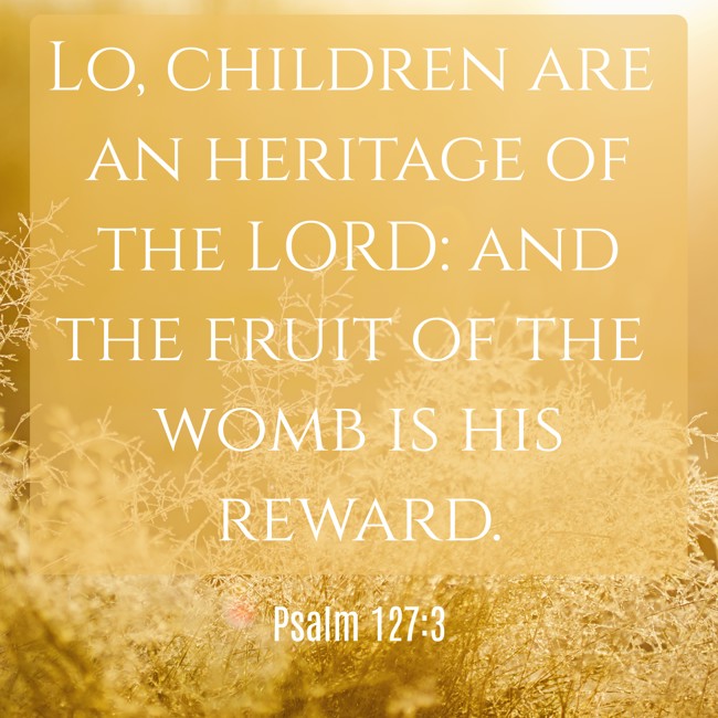 Lo, children are an heritage of the LORD: and the fruit of the womb is his reward. - Psalm 127:3