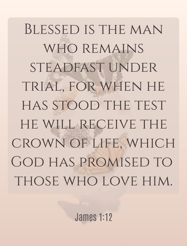Blessed is the man who remains steadfast under trial, for when he has stood the test he will receive the crown of life, which God has promised to those who love him. - James 1:12