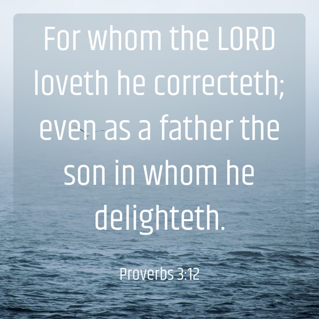 For whom the LORD loveth he correcteth; even as a father the son in whom he delighteth. - Proverbs 3:12