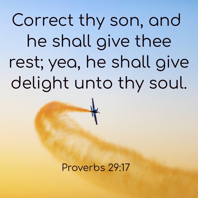 Correct thy son, and he shall give thee rest; yea, he shall give delight unto thy soul. - Proverbs 29:17