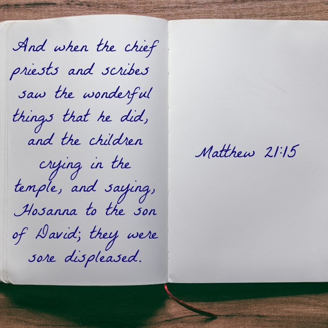 And when the chief priests and scribes saw the wonderful things that he did, and the children crying in the temple, and saying, Hosanna to the son of David; they were sore displeased. - Matthew 21:15