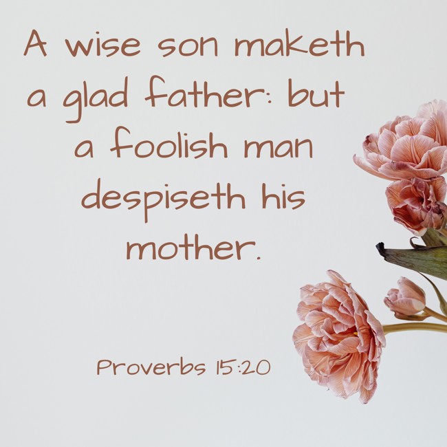 A wise son maketh a glad father: but a foolish man despiseth his mother. - Proverbs 15:20
