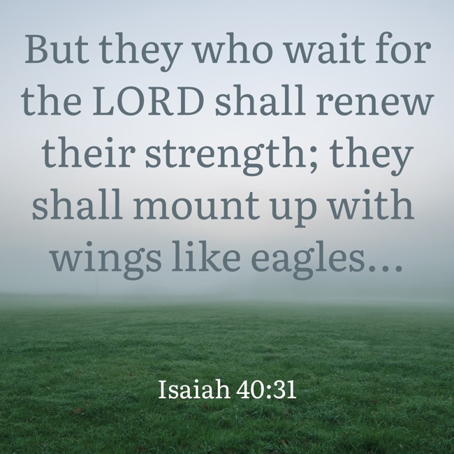 But they who wait for the LORD shall renew their strength; they shall mount up with wings like eagles... - Isaiah 40:31
