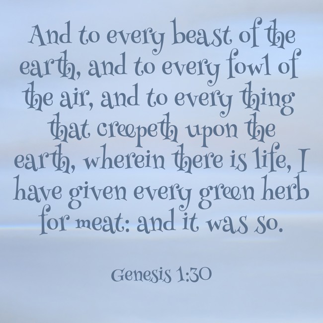 And to every beast of the earth, and to every fowl of the air, and to every thing that creepeth upon the earth, wherein there is life, I have given every green herb for meat: and it was so. - Genesis 1:30