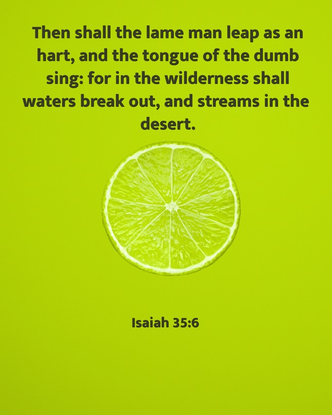 Then shall the lame man leap as an hart, and the tongue of the dumb sing: for in the wilderness shall waters break out, and streams in the desert. - Isaiah 35:6