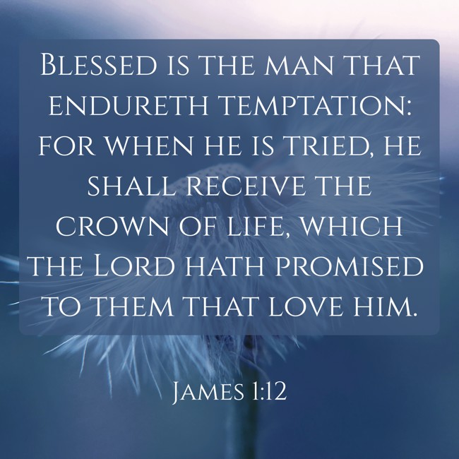 Blessed is the man that endureth temptation: for when he is tried, he shall receive the crown of life, which the Lord hath promised to them that love him. - James 1:12