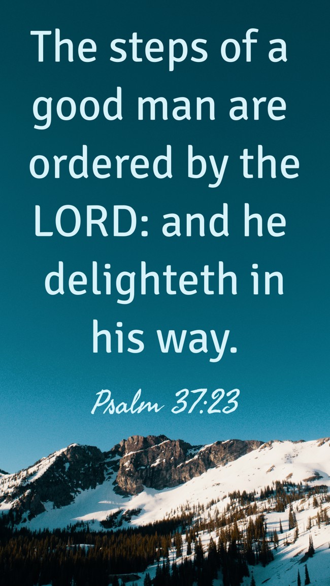 The steps of a good man are ordered by the LORD: and he delighteth in his way. - Psalm 37:23