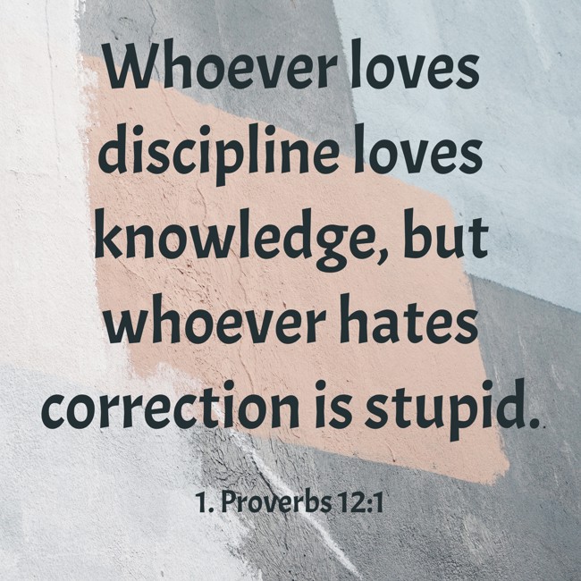 Whoever loves discipline loves knowledge, but whoever hates correction is stupid. - 1. Proverbs 12:1