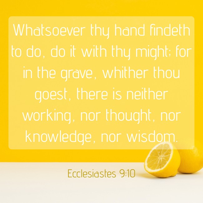 Whatsoever thy hand findeth to do, do it with thy might; for in the grave, whither thou goest, there is neither working, nor thought, nor knowledge, nor wisdom. - Ecclesiastes 9:10