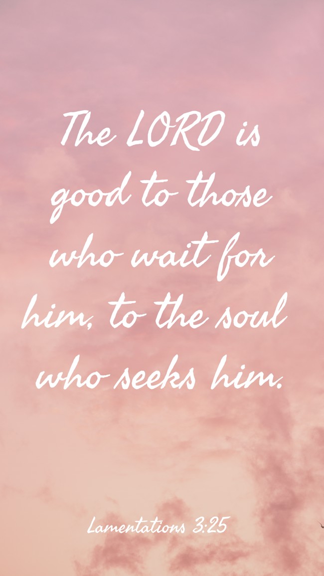 The LORD is good to those who wait for him, to the soul who seeks him. - Lamentations 3:25