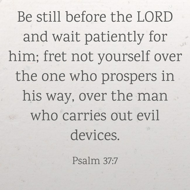 Be still before the LORD and wait patiently for him; fret not yourself over the one who prospers in his way, over the man who carries out evil devices. - Psalm 37:7
