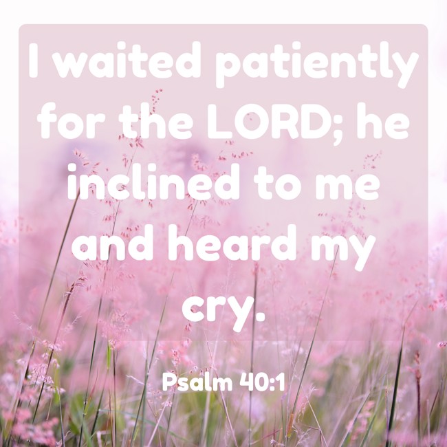 I waited patiently for the LORD; he inclined to me and heard my cry. - Psalm 40:1