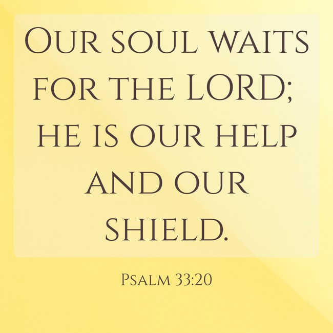 Our soul waits for the LORD; he is our help and our shield. - Psalm 33:20